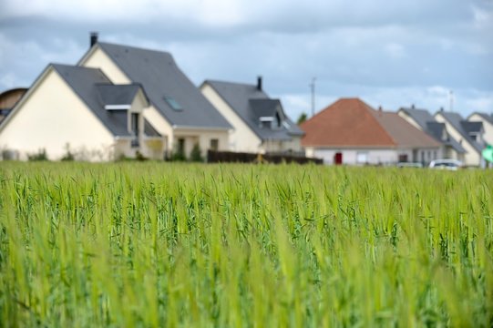 Znt. Lotissement r&eacute;cent en bordure de champ.  Urbanisation des terres agricoles