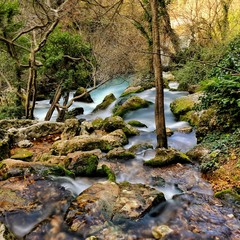 Source de la Sorgue