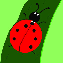 Ladybug vector illustration. Comic character. Colorful a biological bug. A funny insect, a seasonal little bug. Nice simple and wild nature. Green background. A ladybug crawls on a leaf.