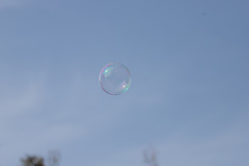 in a bubble