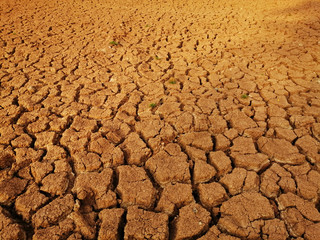 Cracked ground Caused by drought or dryness. the ground was cracked. caused by drought No water for...