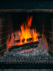 Obraz premium wood burning in the fireplace.