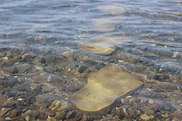 stones in the water