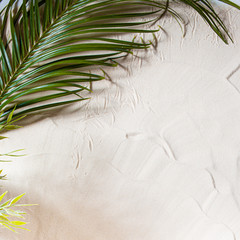 Tropical beach. Green palm leaf lies on the white fine sand. Close-up, top view, desktop wallpaper.