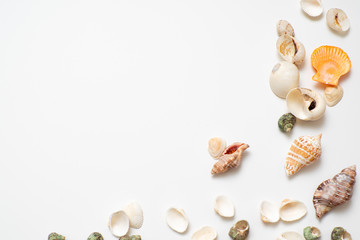 Different seashells on a white background , the concept of holidays by the sea.