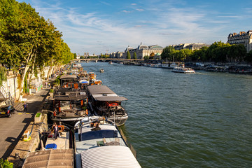 Fototapeta premium Grand Palais and Pont Alexandre III in Paris, France.