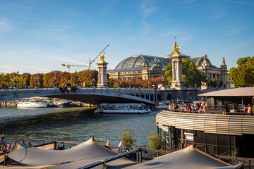 Grand Palais and Pont Alexandre III in Paris, France.
