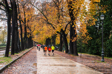 A beautiful autumn landscape of the promenade on the walls encircling the old town of Luca, Tuscany, Italy