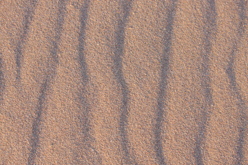 Fototapeta na wymiar Sand wave pattern background, Africa, close-up