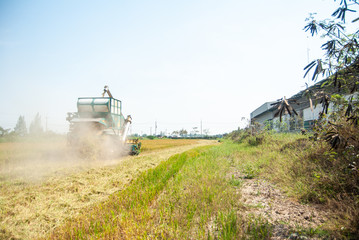 combine harvester working on a field