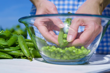Woman with apron shells peas inside a glass bowl outdoors with strong sunlight in the greenery and blue skies