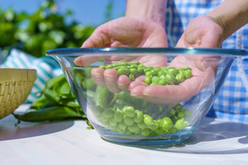 Woman's hands holding a handful of freshly picked peas inside a glass bowl outdoors in the rays of the sun