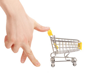 Mini shopping cart
