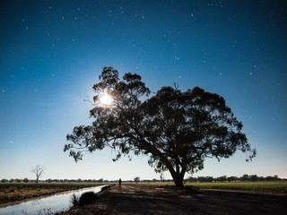 Nocny spacer w Australii © Hrr