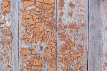Old painted wood texture. Horizontal shot
