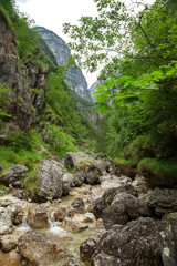 Fototapeta na wymiar mountain stream in the Dolomites