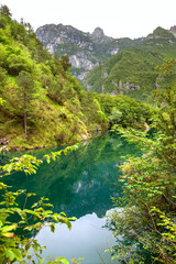 Fototapeta na wymiar forest lake in the mountains