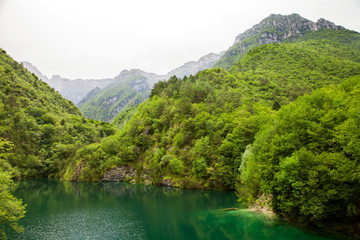Green hills and lake in Belluno Dolomites National Park, Italy