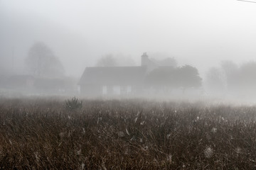 Misty Cottage