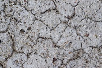 dry cracked soil, textured background near a salty lake in the summer