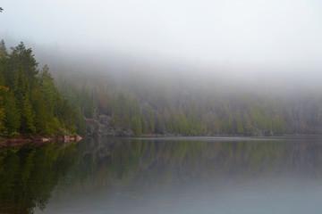 Paysage brouillard