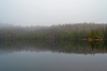 Obraz premium Paysage brouillard