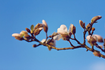 fast ausgetrocknetes Flussbett in Österreich im Herbst