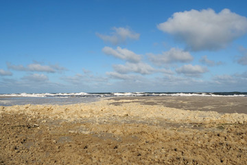 Brown sea foam lying on the beach after a storm at beautiful weather with blue sky in Zingst, Germany, Europe
