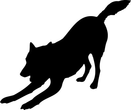 recommend clip art: Silhouette of a downward facing dog