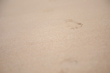 Footprint of the sandy beach　砂浜の足跡
