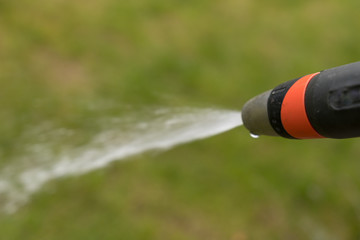 lawn sprinkler in a garden