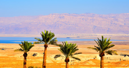 Judean Desert Landscape near the Dead Sea, Israel - obrazy, fototapety, plakaty