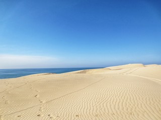Fototapeta na wymiar Beautiful Sand dunes near Ocean in Salalah, Oman