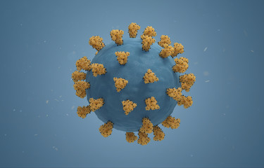 SARS-CoV-2 Virus
Illustration based on actual structural biology data with accurate scaling:
Surface spikes based on Cryo-EM structure of spike glycoprotein (Veesler et ali., 2020).