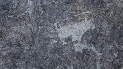 회색 돌에 새겨진 동물 모양