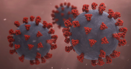 SARS-CoV-2 Virus
Illustration based on actual structural biology data with accurate scaling:
Surface spikes based on Cryo-EM structure of spike glycoprotein (Veesler et ali., 2020).