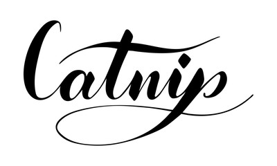 Vector hand written catnip text isolated on white background. Kitchen healthy herbs and spices for cooking. Script brushpen lettering with flourishes. Handwriting for banner, poster, product label