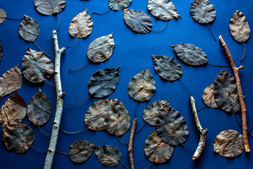 Fototapeta na wymiar Collage of dry leaves and branches on a blue background. Theme autumn day.