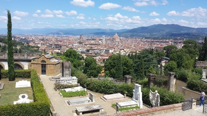 Fototapeta na wymiar panoramic view of the city of firenze