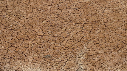 가뭄으로 갈라진 땅