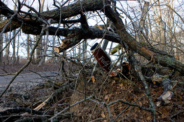 Degat de la tempete en foret de troncais