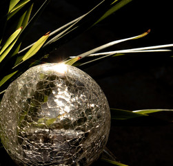 Solar Lights in Sunlight