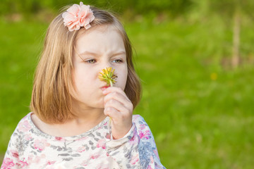 Beautiful blond little girl sniffs yellow dandelion and gets a dose of seasonal allergies