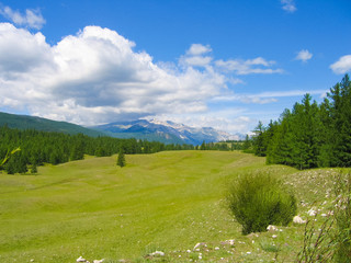 A wonderful green meadow covered with fresh grass, against the backdrop of majestic mountains and a blue sky with clouds