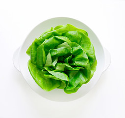butterhead lettuce on a bowl