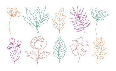 Beautiful flowers and leaves set isolated on white background. Modern art. Hand drawn outline vector illustration for logo design, wedding invitation, floral cards, botanical crafts.