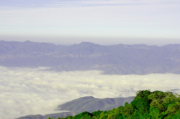 Mountains, skies with sea of mist and green trees