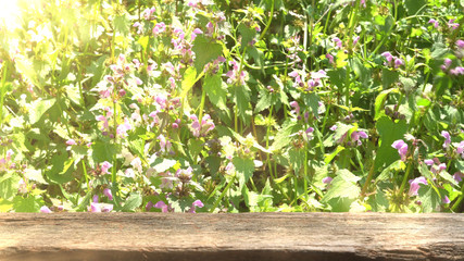 Empty wooden base suitable for mockup. Nature theme.