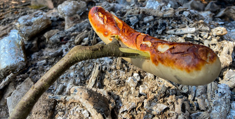 Fototapeta na wymiar one sausages over an embers