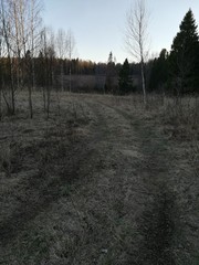 rural trail in early spring 